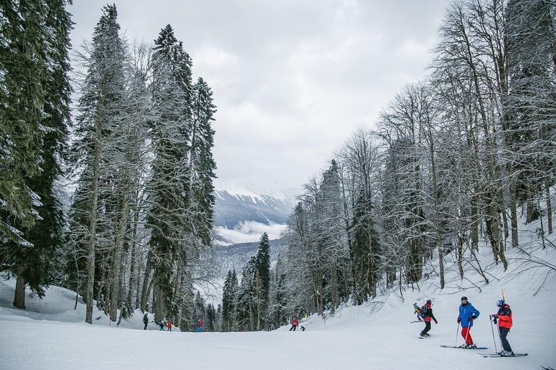 Ski Resorts